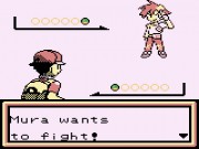Pokemon Brown 2014